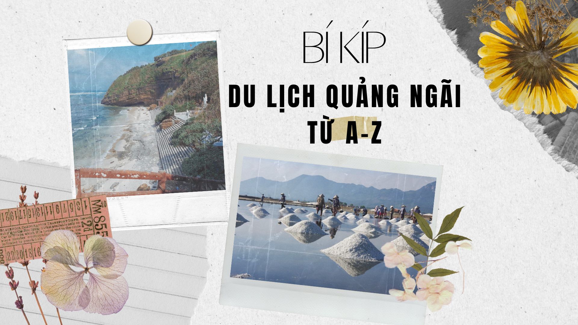 Bí kíp du lịch Quảng Ngãi từ A-Z mà mọi du khách đều nên lưu lại